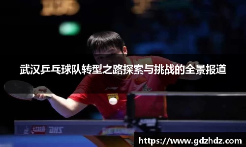 武汉乒乓球队转型之路探索与挑战的全景报道